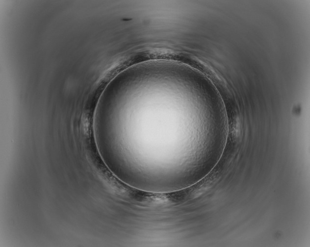 X0000090600715200707241044