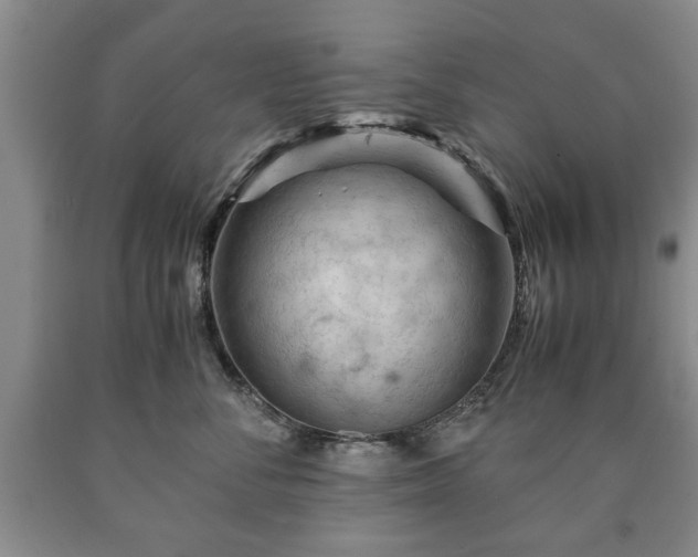 X0000090600716200707241043