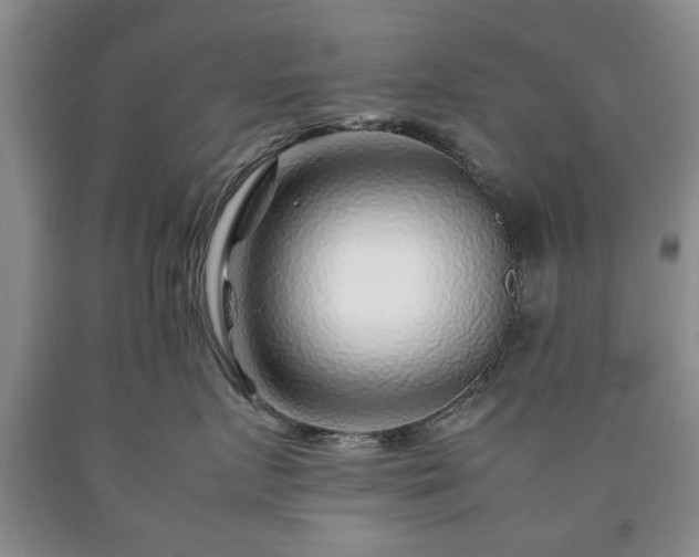 X0000090600719200707241043