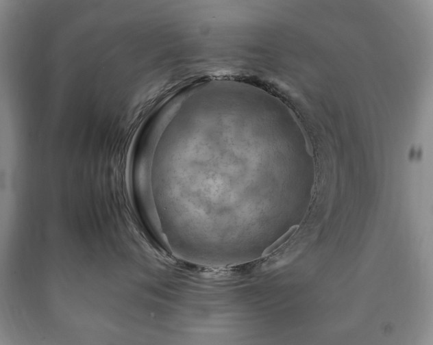 X0000090600720200707241043