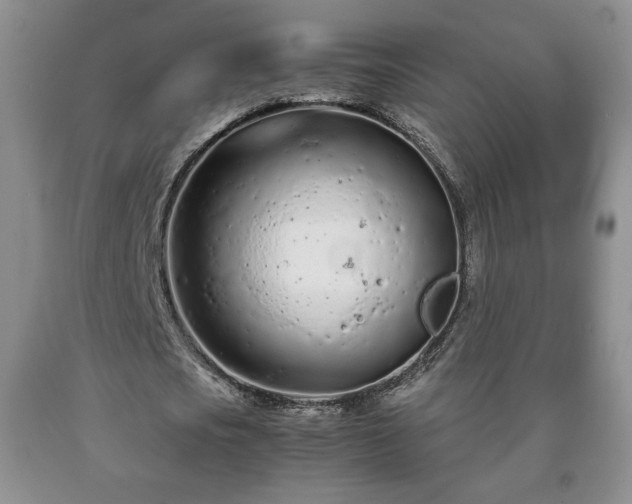 X0000090600721200707241043