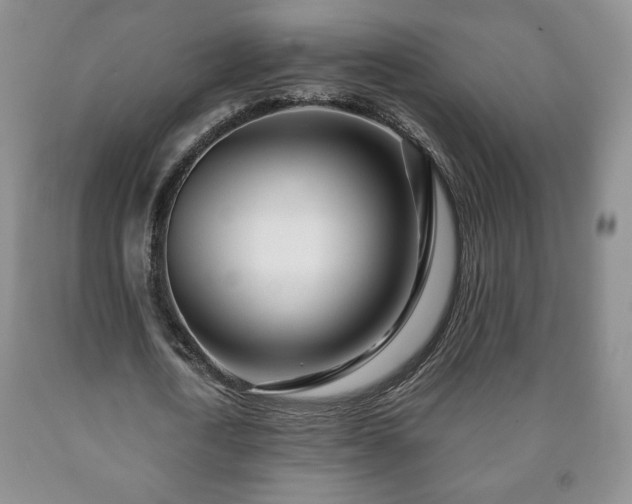 X0000090600722200707241043