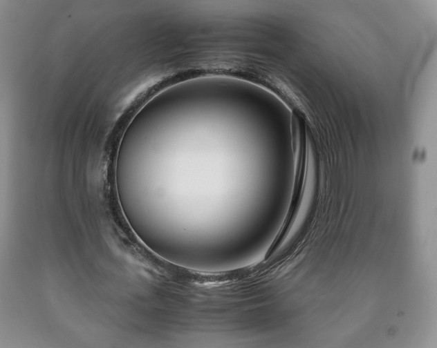 X0000090600723200707241043