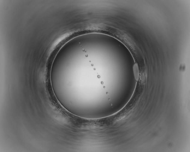 X0000090600724200707241043