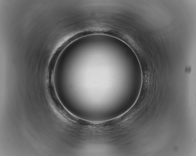 X0000090600726200707241043