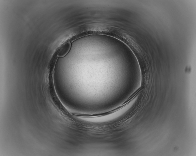 X0000090600727200707241043