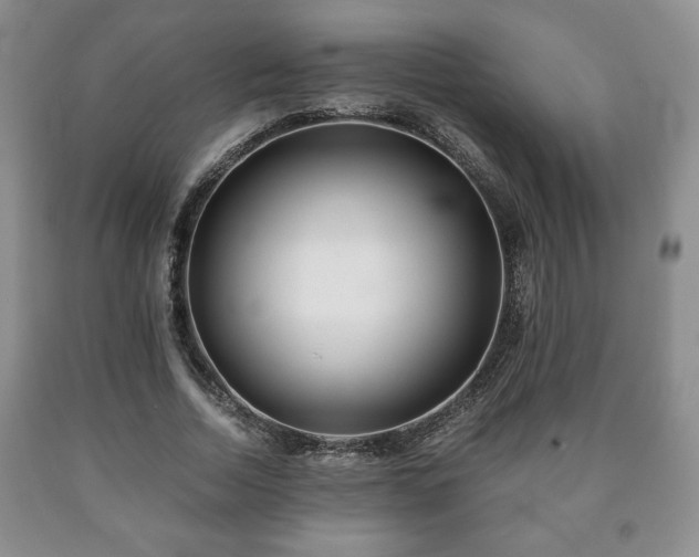 X0000090600730200707241043