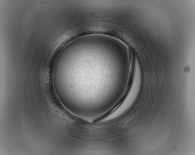 X0000090600731200707241043