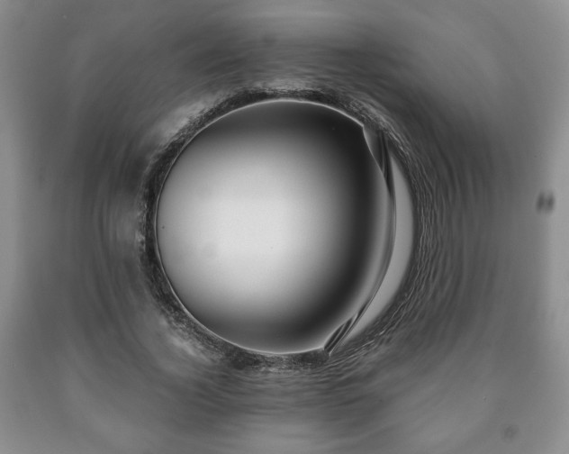 X0000090600732200707241043