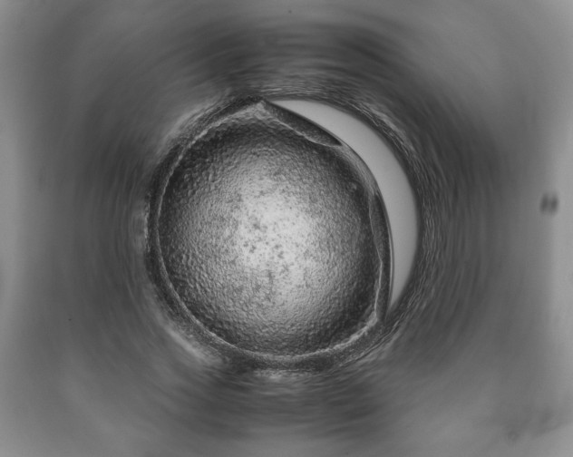 X0000090600733200707241043