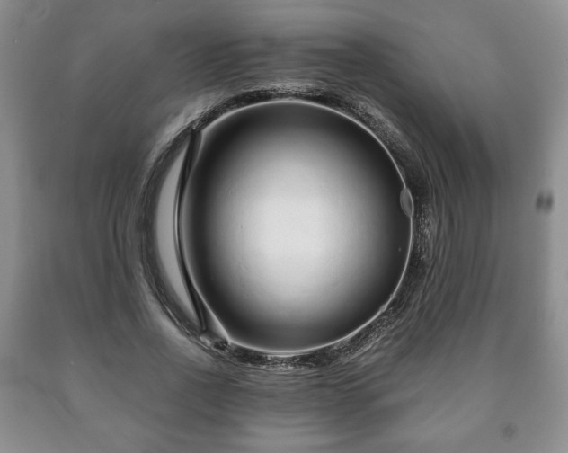 X0000090600734200707241043