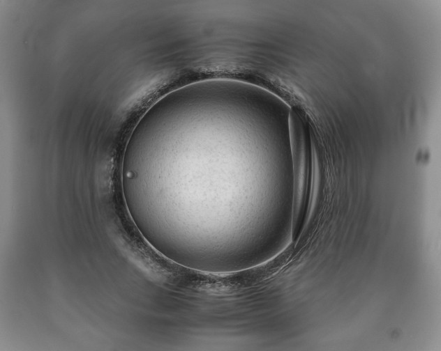 X0000090600735200707241043