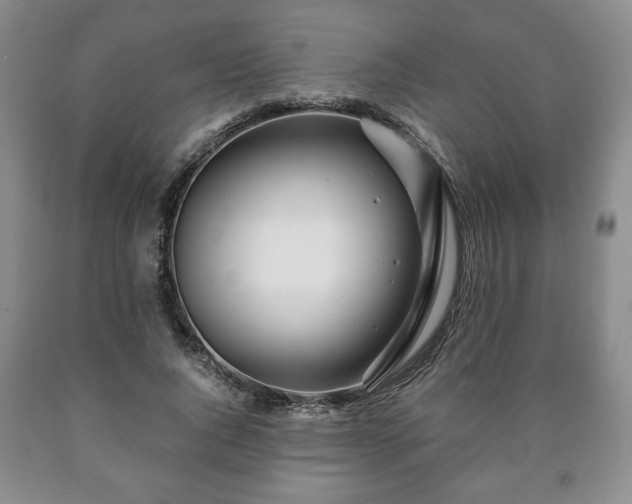 X0000090600736200707241043