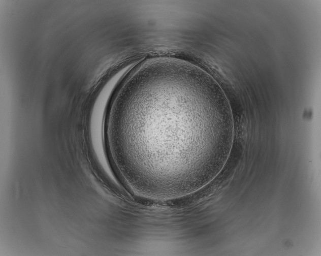 X0000090600742200707241043
