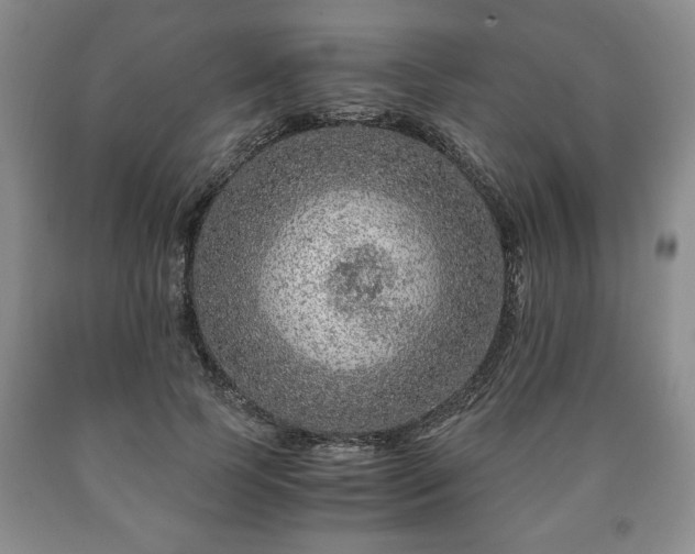 X0000090600745200707241043