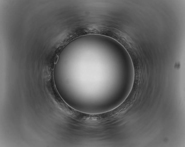 X0000090600751200707241043