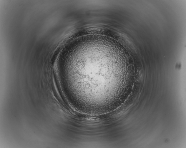 X0000090600753200707241043