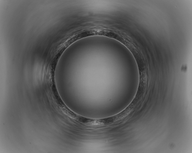 X0000090600754200707241043