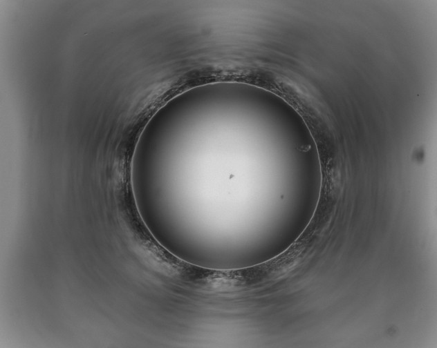 X0000090600756200707241043