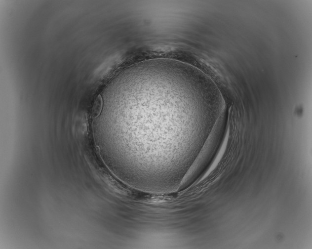 X0000090600758200707241043