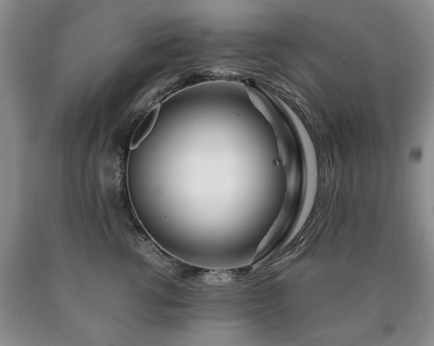 X0000090600762200707241043