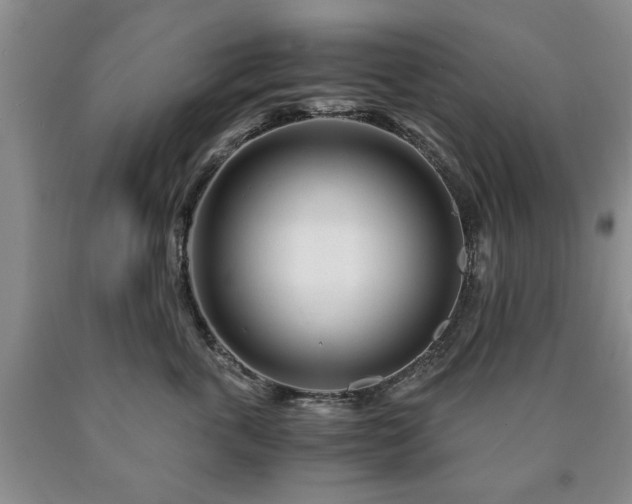 X0000090600763200707241043