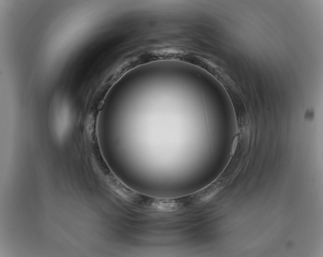 X0000090600767200707241043