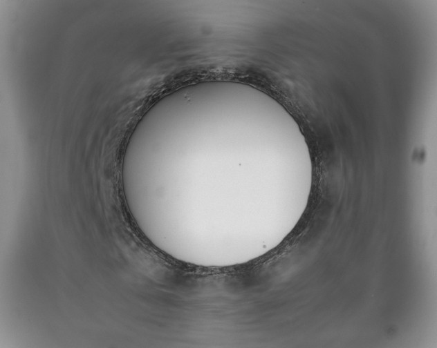 X0000090600769200707241043