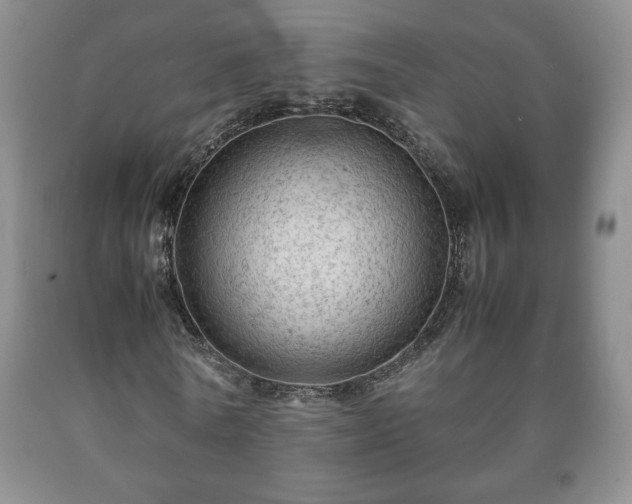 X0000090600770200707241043