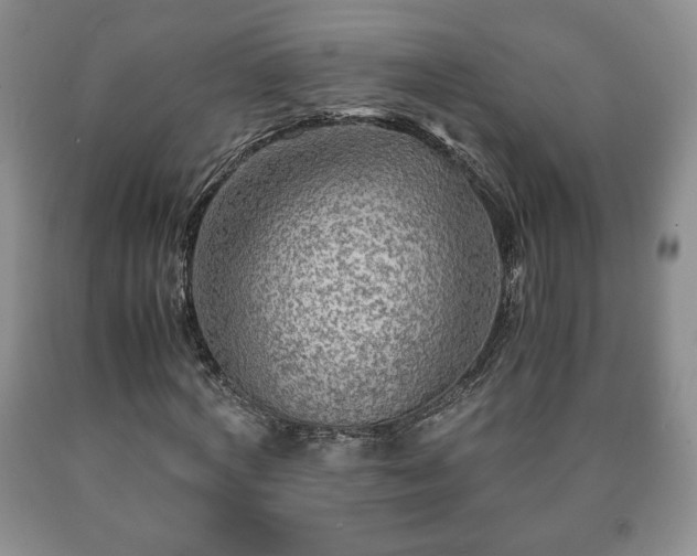 X0000090600772200707241043