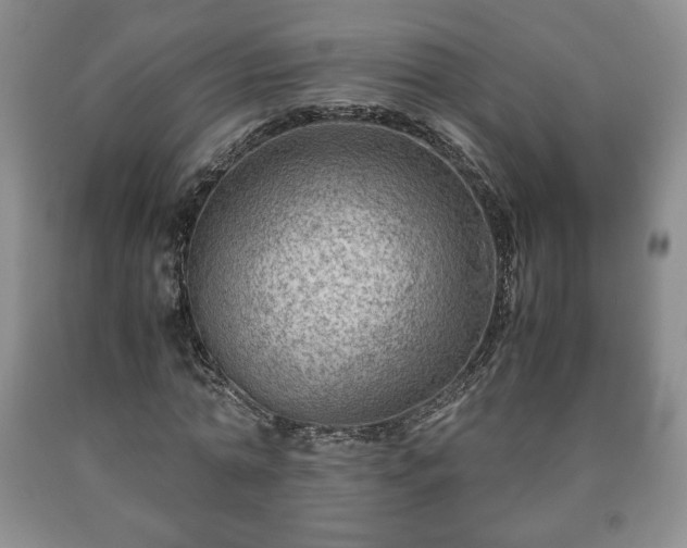 X0000090600774200707241043