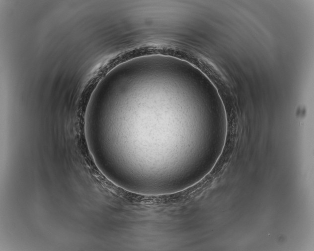 X0000090600776200707241043