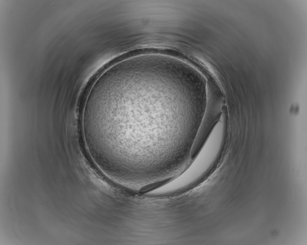 X0000090600779200707241043