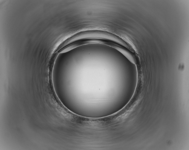 X0000090600781200707241043