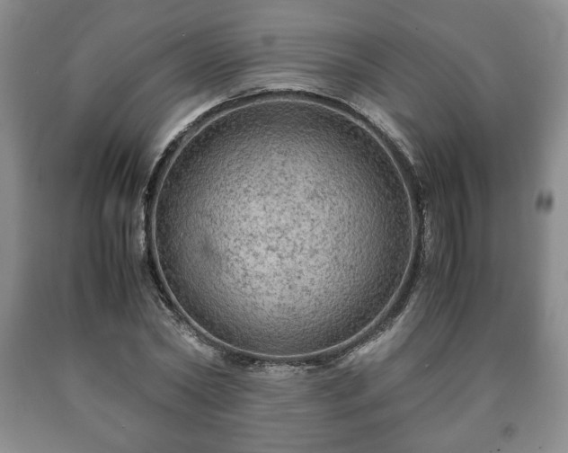 X0000090600782200707241043