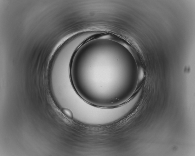 X0000090600784200707241043