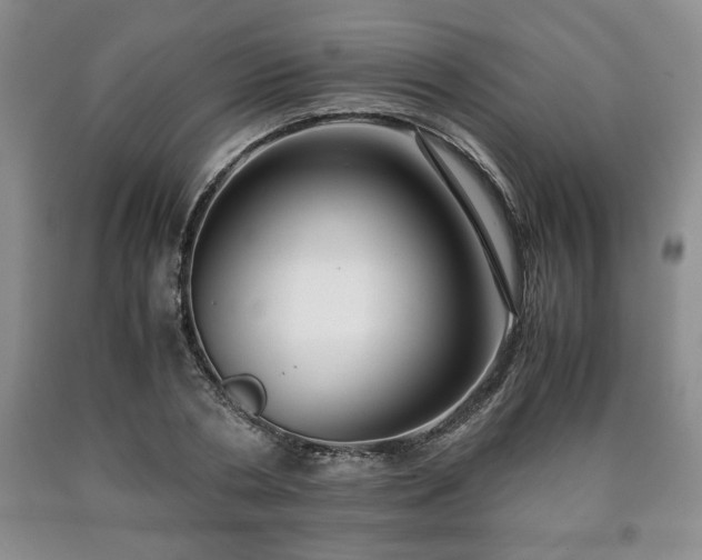 X0000090600786200707241043