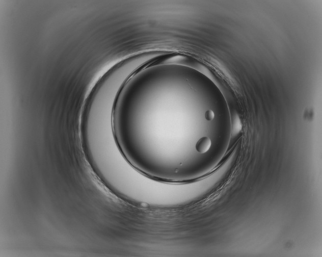 X0000090600788200707241042