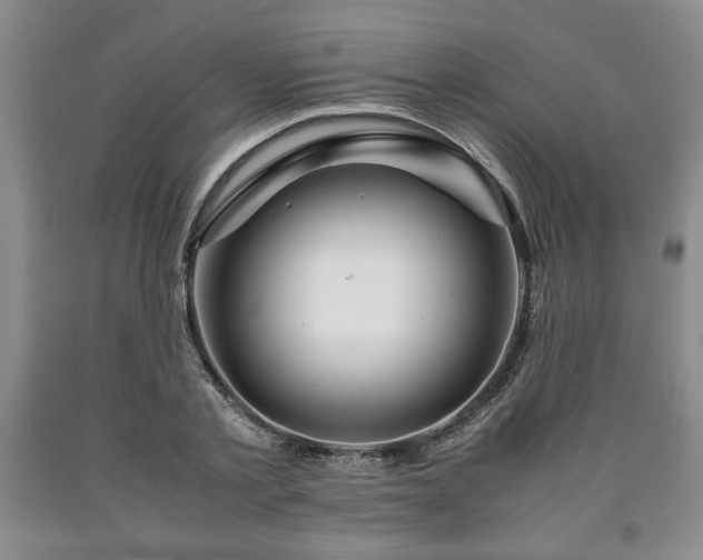 X0000090600789200707241042
