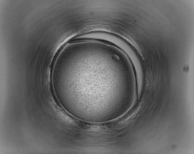 X0000090600790200707241042