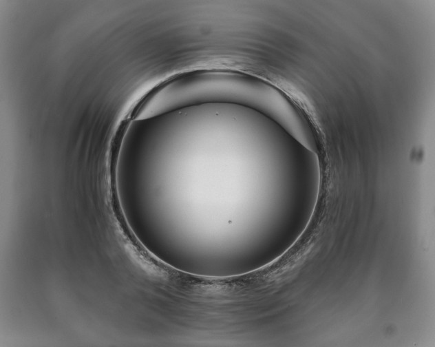 X0000090600792200707241042