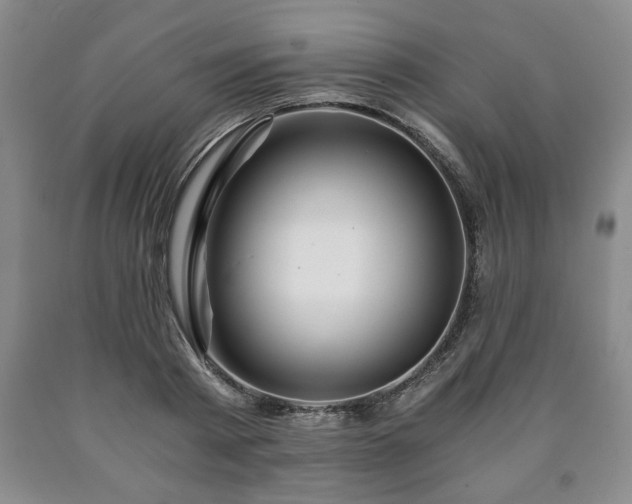 X0000090600793200707241042