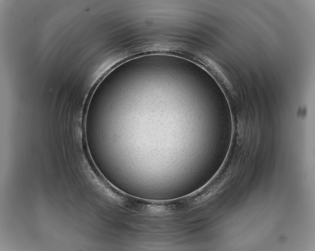 X0000090600794200707241042