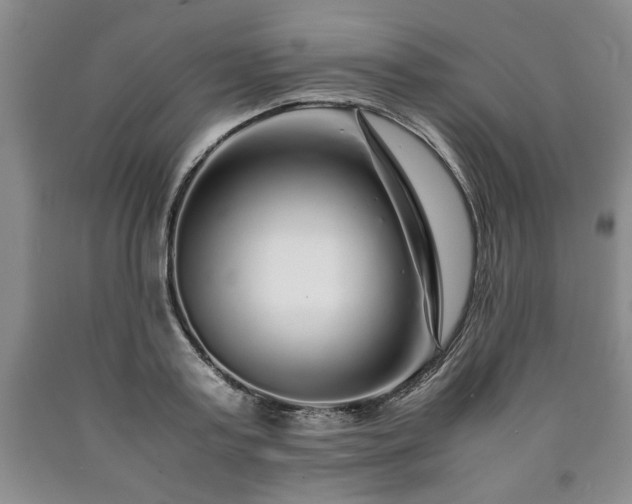 X0000090600795200707241042