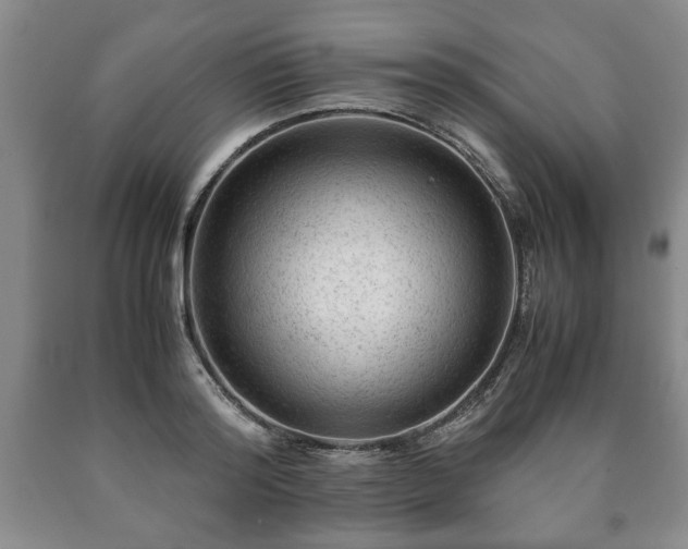 X0000090600796200707241042