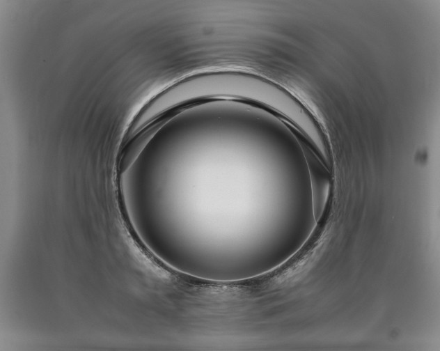 X0000090600797200707241042