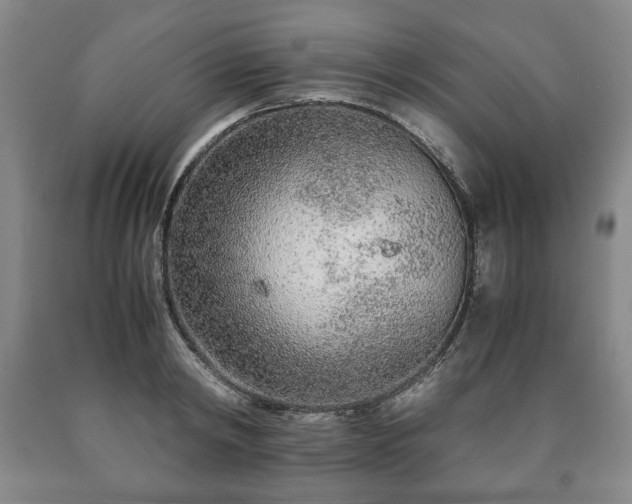 X0000090600798200707241042