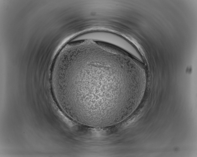 X0000090600799200707241042