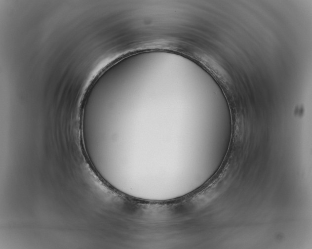 X0000090600800200707241042