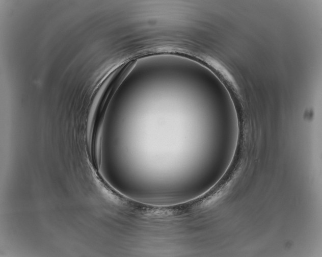 X0000090600801200707241042